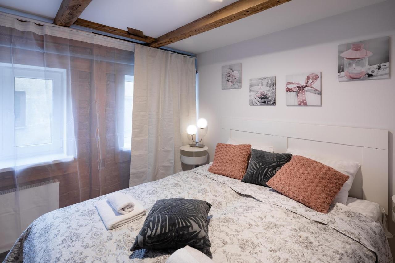 Merkela Loft Apartment Beside Vermanes Park Riga Extérieur photo